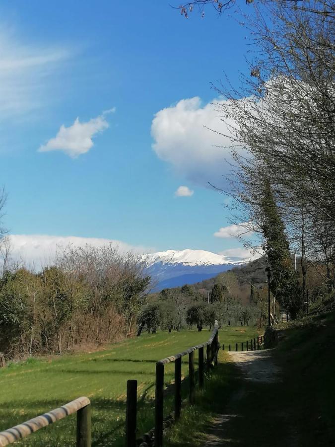 Garda Best Living Appartement Desenzano del Garda Buitenkant foto